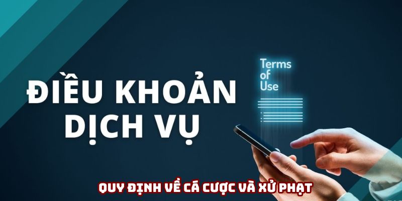 Quy định về các cược và xử phạt