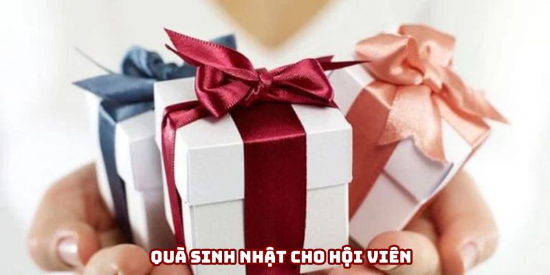 Quà sinh nhật cho hội viên